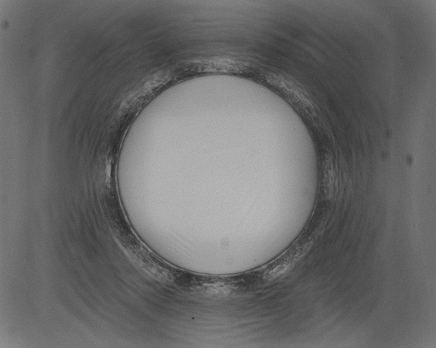 X0000081360310200702020147