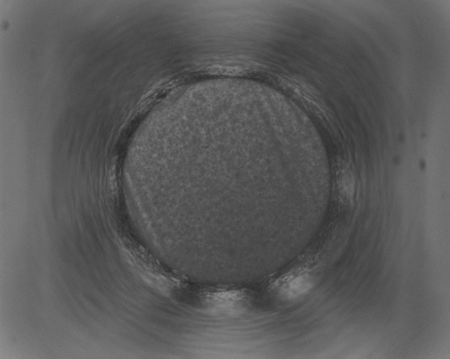 X0000081360312200702020147