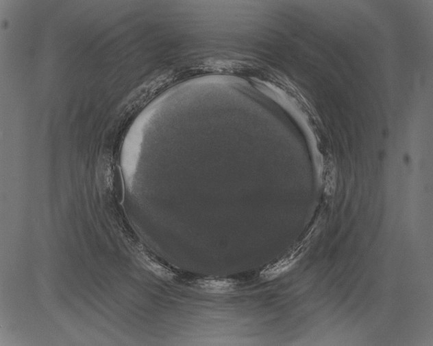 X0000081360313200702020147