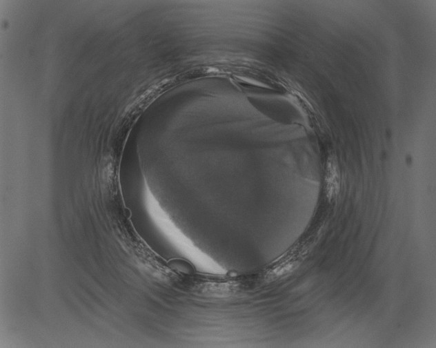 X0000081360314200702020146