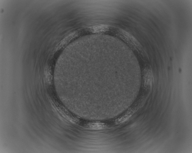 X0000081360316200702020146