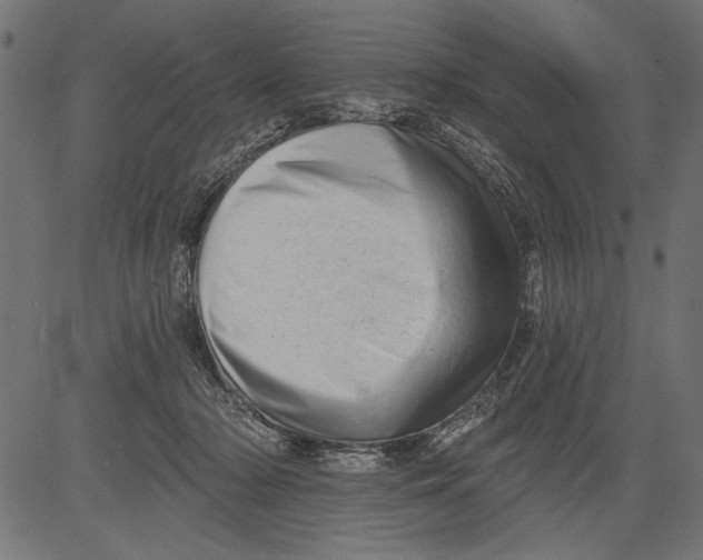 X0000081360318200702020146