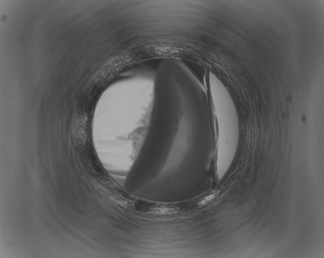 X0000081360319200702020146