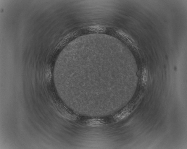 X0000081360320200702020146