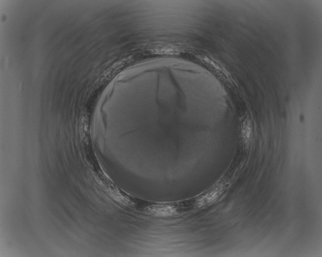 X0000081360322200702020146