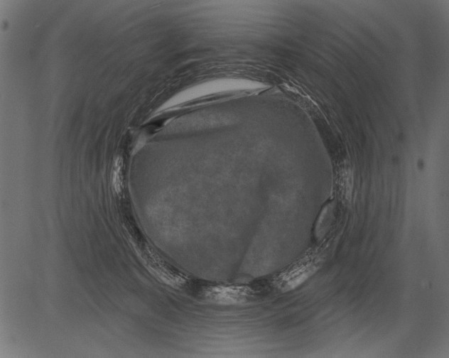 X0000081360323200702020146