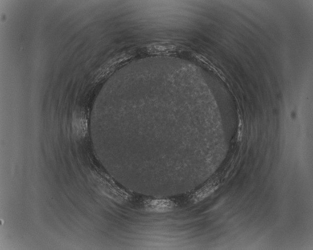 X0000081360324200702020146