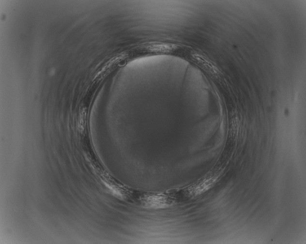 X0000081360325200702020146