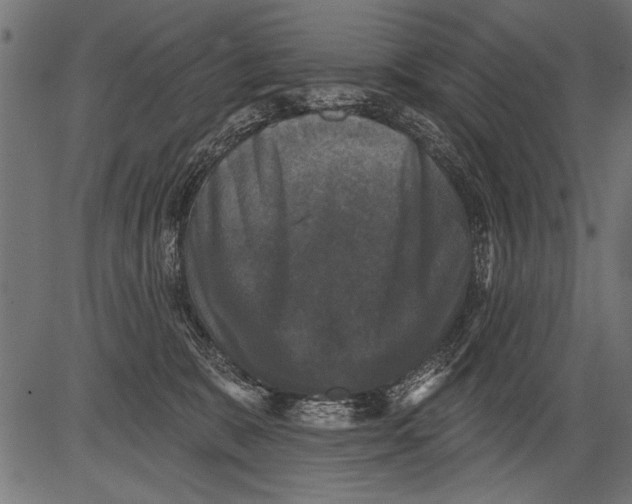 X0000081360327200702020146