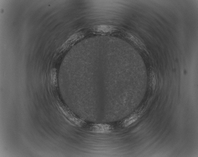 X0000081360328200702020146