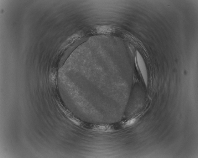 X0000081360329200702020146