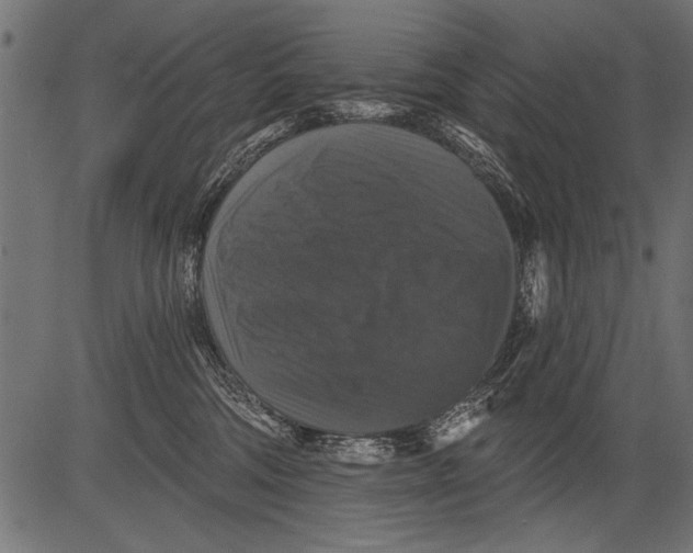 X0000081360330200702020146