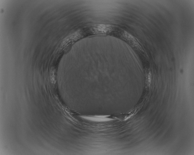 X0000081360331200702020146