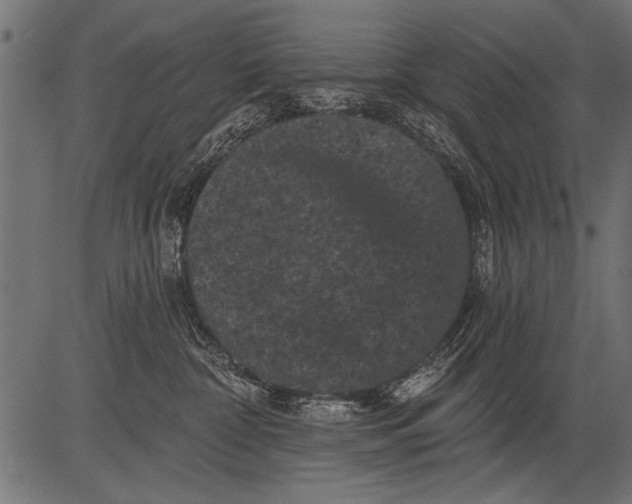 X0000081360332200702020146