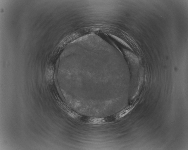 X0000081360333200702020146