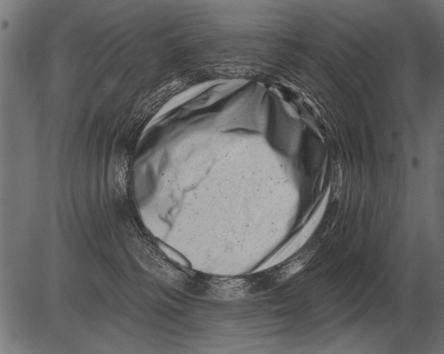 X0000081360334200702020146