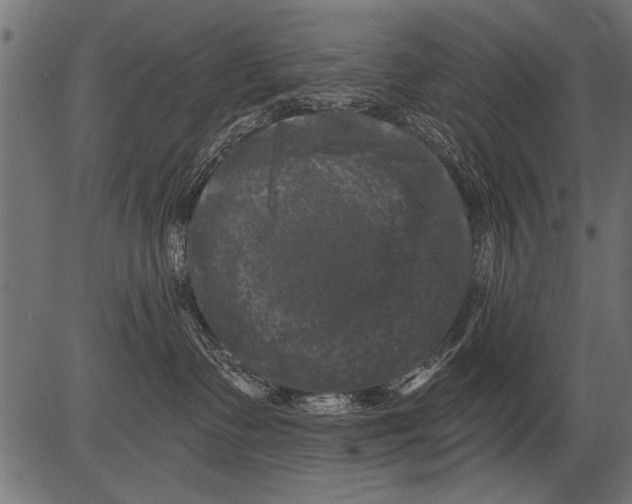 X0000081360335200702020146