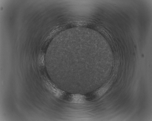 X0000081360336200702020146