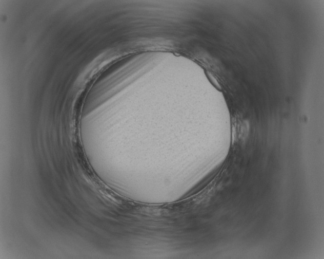 X0000081360339200702020145