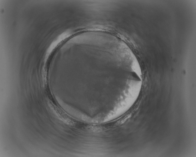 X0000081360343200702020145