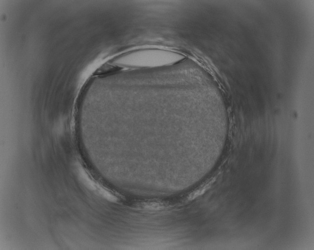 X0000081360344200702020145