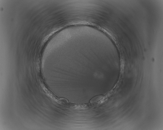 X0000081360345200702020145