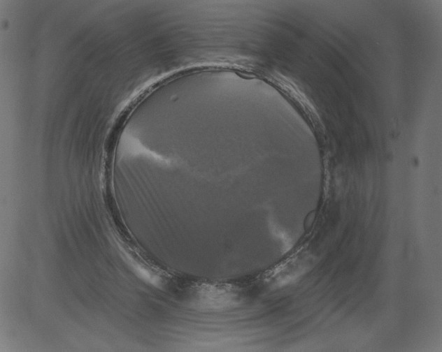 X0000081360346200702020145