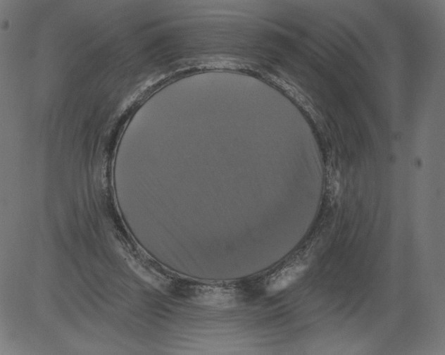 X0000081360347200702020146