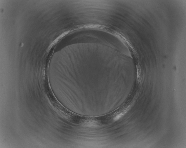 X0000081360348200702020146