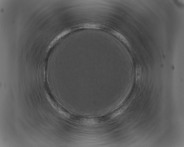 X0000081360349200702020146