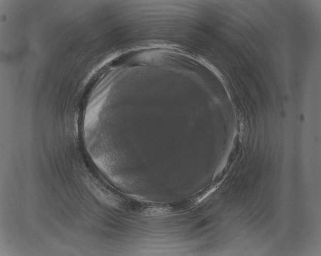 X0000081360350200702020146