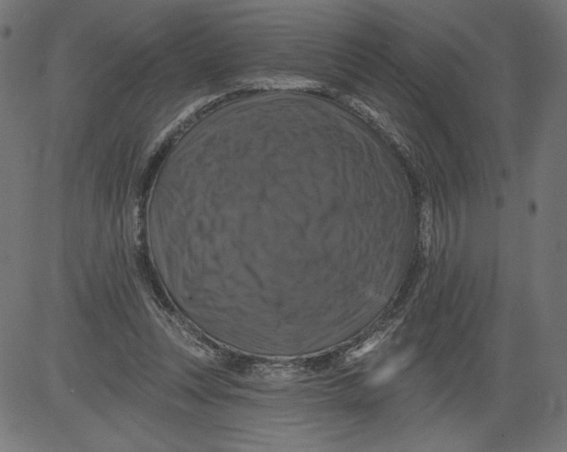 X0000081360351200702020146