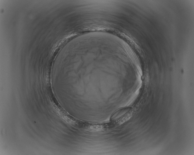 X0000081360353200702020146