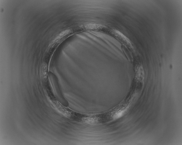 X0000081360356200702020146