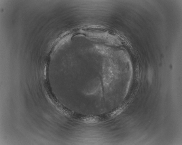 X0000081360358200702020146