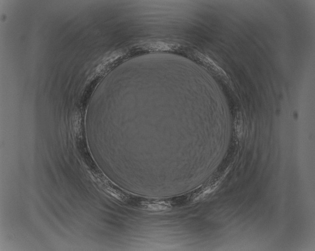 X0000081360359200702020146