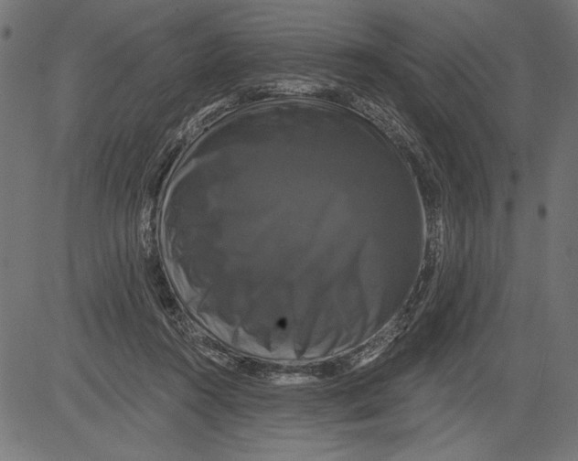 X0000081360360200702020146