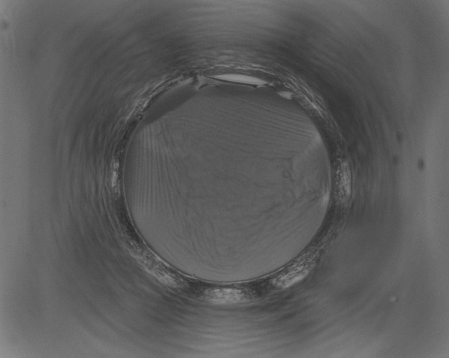 X0000081360361200702020146