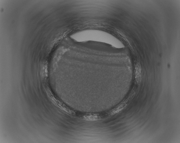 X0000081360362200702020146