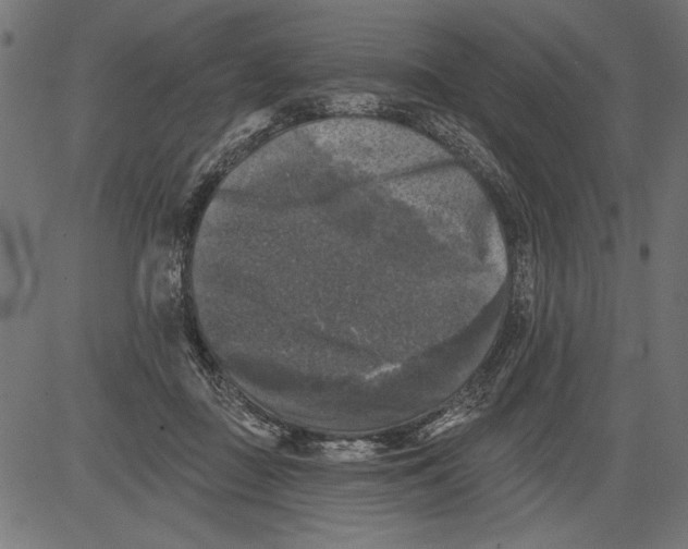 X0000081360363200702020146