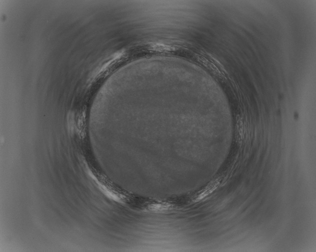 X0000081360364200702020146