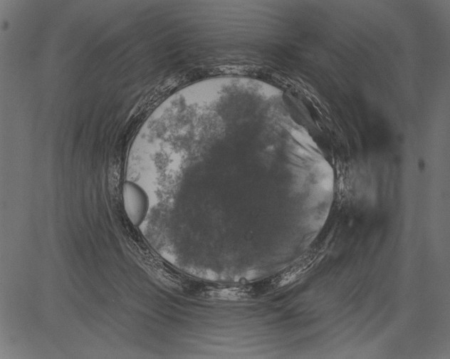 X0000081360365200702020146