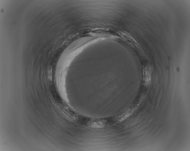 X0000081360368200702020146