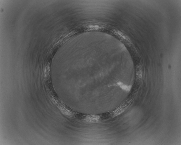 X0000081360369200702020146