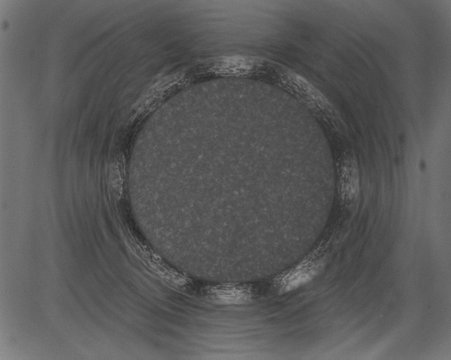 X0000081360370200702020146