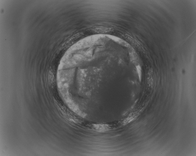 X0000081360371200702020146