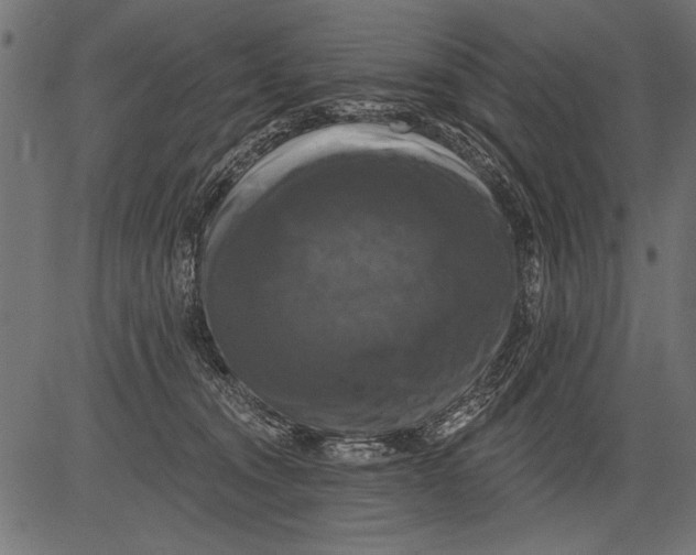 X0000081360372200702020146