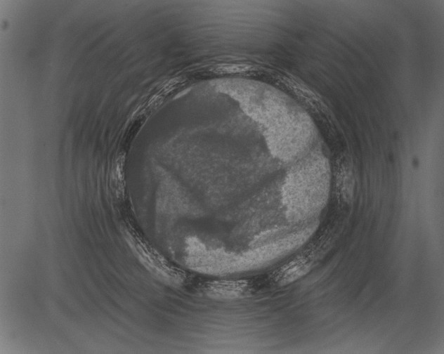 X0000081360373200702020146