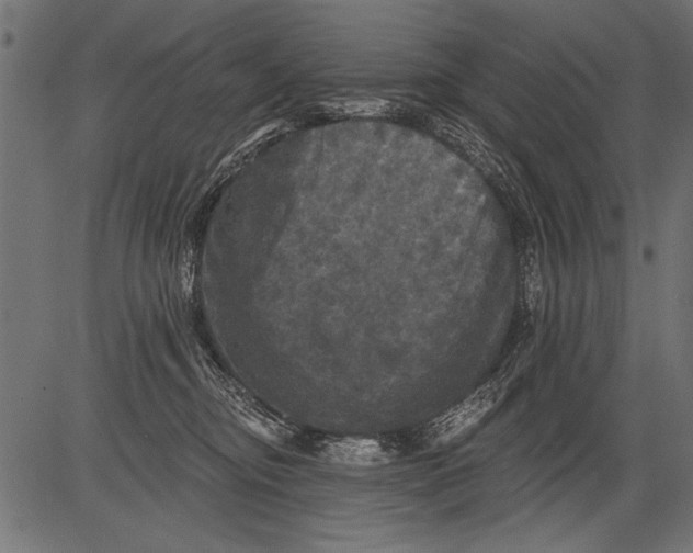 X0000081360374200702020146