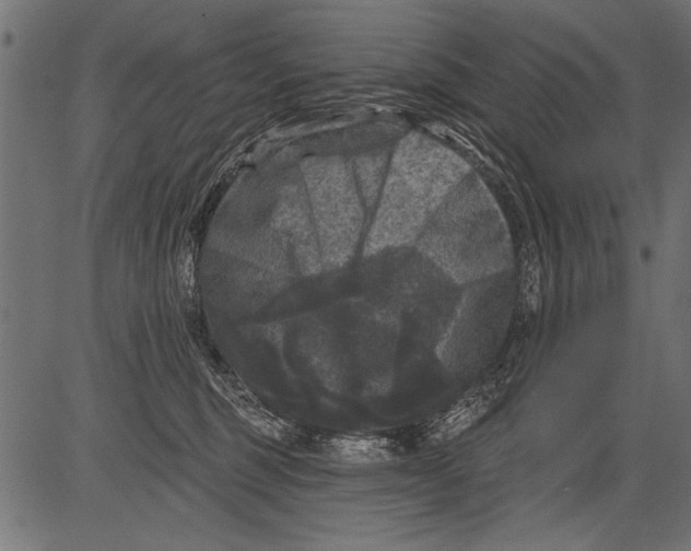 X0000081360375200702020146